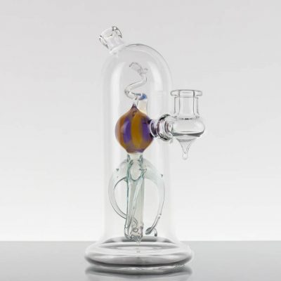 Dan Getz Seedling Specimen #5