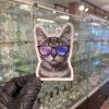 Big Moods Vinyl Sticker - Cat Sunglasses view 1