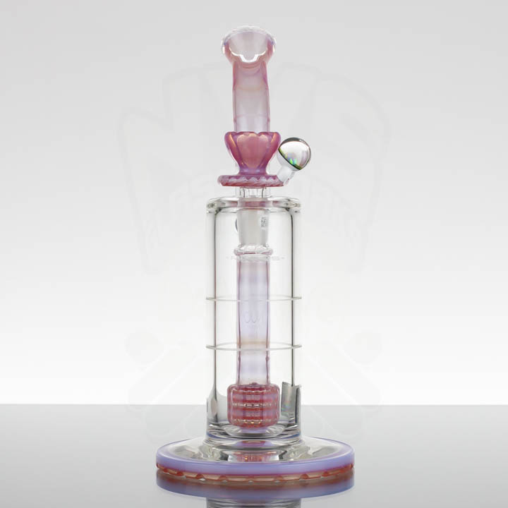 Mobius Nuc - HS WKD