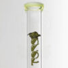 Toro - Full Size 7/13 - Mint Green Yellow and Black Reversals view 5