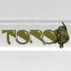 Toro - Full Size 7/13 - Mint Green Yellow and Black Reversals view 6