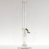 Sovereignty - 50x5 Fixed Stem 180 - NS Yellow x Europa Star view 2